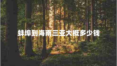 蚌埠到海南三亞大概多少錢(qián)