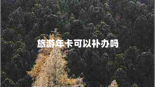 旅游年卡可以補辦嗎