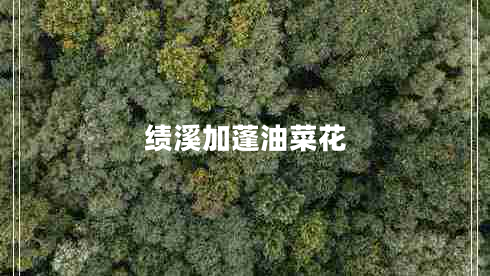 績(jì)溪加蓬油菜花