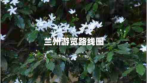 蘭州游覽路線(xiàn)圖