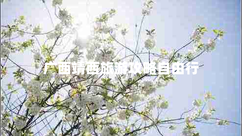 廣西靖西旅游攻略自由行