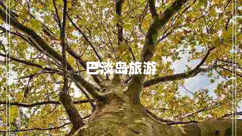巴淡島旅游