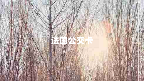法國公交卡
