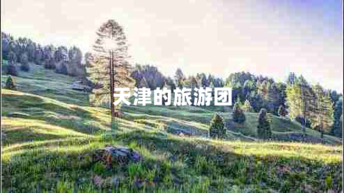 天津的旅游團
