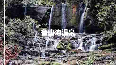 魯山泡溫泉