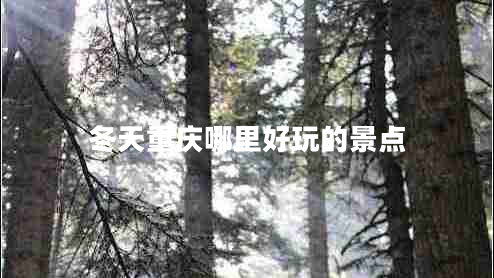 冬天重慶哪里好玩的景點(diǎn)