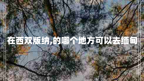 在西雙版納,的哪個(gè)地方可以去緬甸