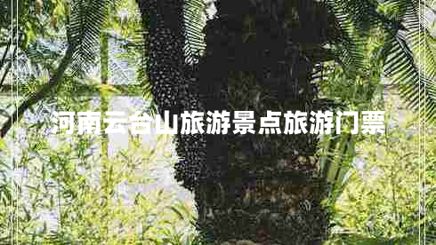 河南云臺山旅游景點(diǎn)旅游門(mén)票