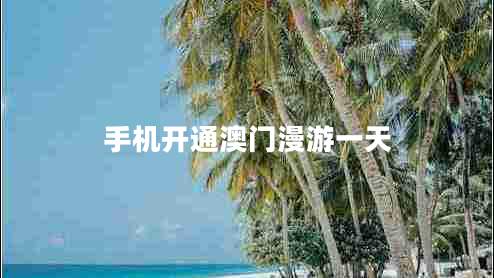 手機開(kāi)通澳門(mén)漫游一天