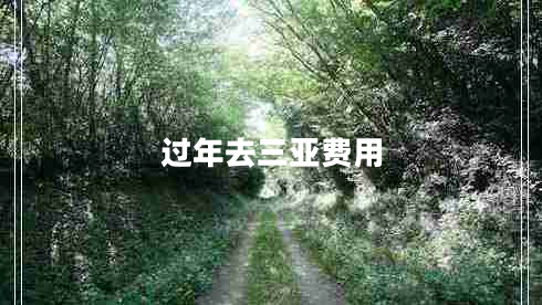 過(guò)年去三亞費用