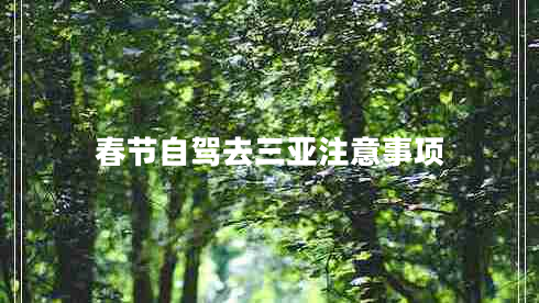 春節自駕去三亞注意事項