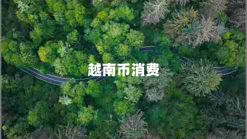 越南幣消費