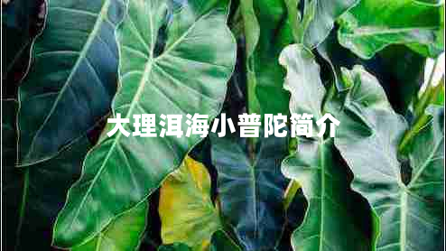 大理洱海小普陀簡(jiǎn)介