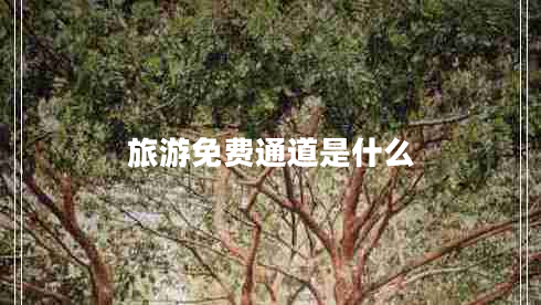 旅游免費通道是什么