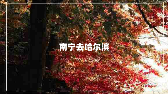 南寧去哈爾濱