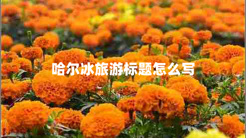 哈爾冰旅游標題怎么寫(xiě)