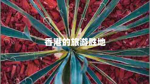 香港的旅游勝地