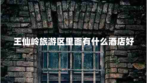 王仙嶺旅游區里面有什么酒店好