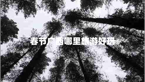 春節廣西哪里旅游好玩