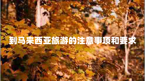 到馬來(lái)西亞旅游的注意事項和要求