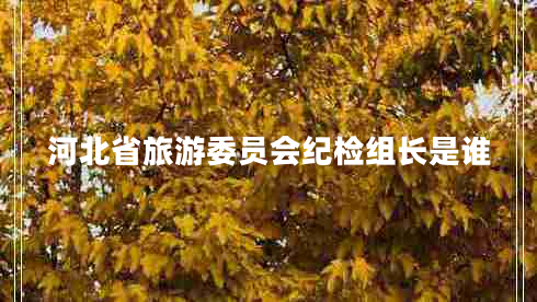 河北省旅游委員會(huì )紀檢組長(cháng)是誰(shuí)