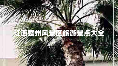 江西贛州風(fēng)景區旅游景點(diǎn)大全