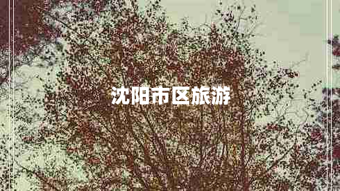 沈陽(yáng)市區旅游