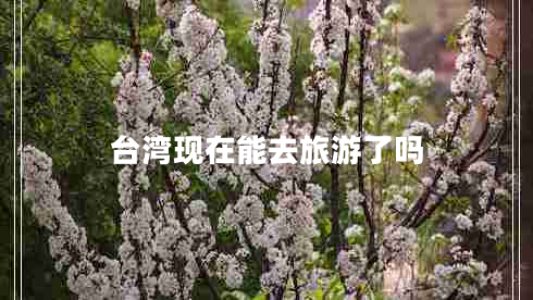 臺灣現在能去旅游了嗎