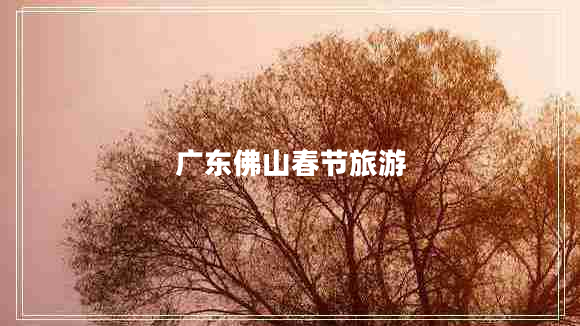 廣東佛山春節旅游