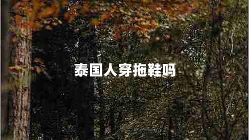 泰國人穿拖鞋嗎