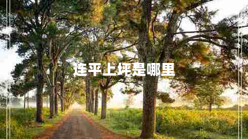 連平上坪是哪里