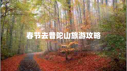 春節去普陀山旅游攻略