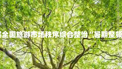 關(guān)于開(kāi)展全國旅游市場(chǎng)秩序綜合整治“暑期整頓”的通知