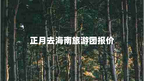 正月去海南旅游團報價(jià)