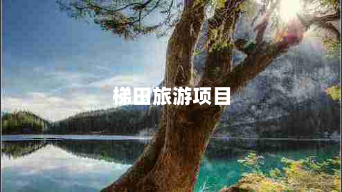 梯田旅游項目