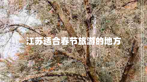江蘇適合春節旅游的地方