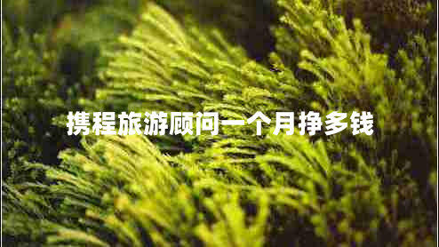 攜程旅游顧問(wèn)一個(gè)月掙多錢(qián)