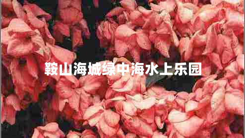 鞍山海城綠中海水上樂(lè )園
