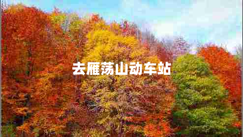 去雁蕩山動(dòng)車(chē)站