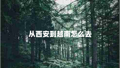 從西安到越南怎么去