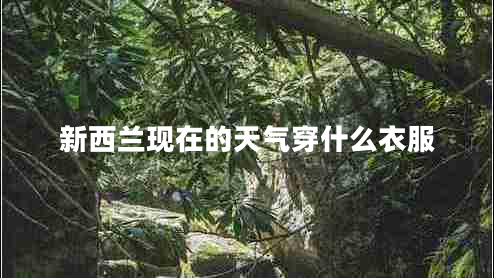 新西蘭現在的天氣穿什么衣服