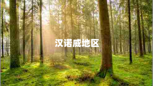 漢諾威地區