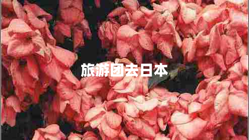 旅游團去日本