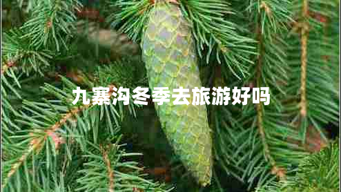 九寨溝冬季去旅游好嗎