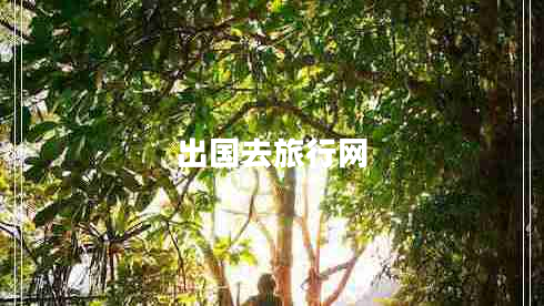出國去旅行網(wǎng)