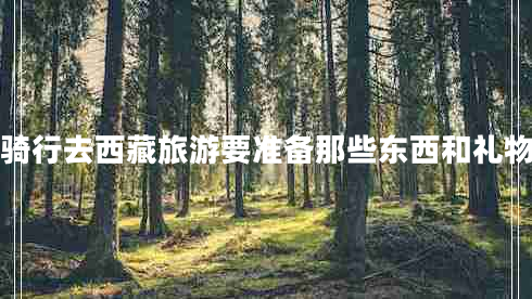 騎行去西藏旅游要準備那些東西和禮物