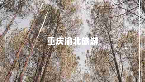 重慶渝北旅游