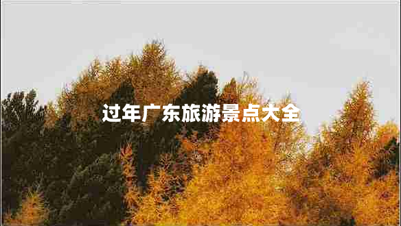 過(guò)年廣東旅游景點(diǎn)大全