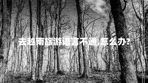去越南旅游語(yǔ)言不通,怎么辦?