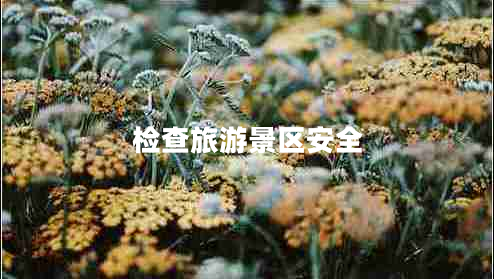 檢查旅游景區安全